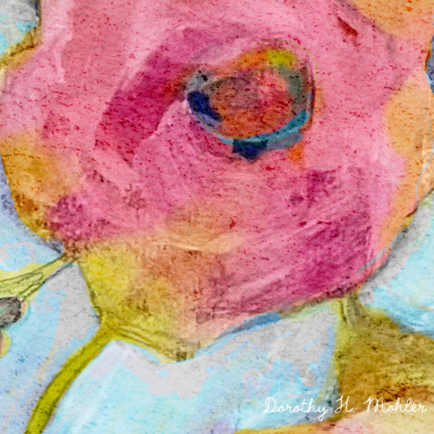 Camelia Fun - Botanical Fine Art Print