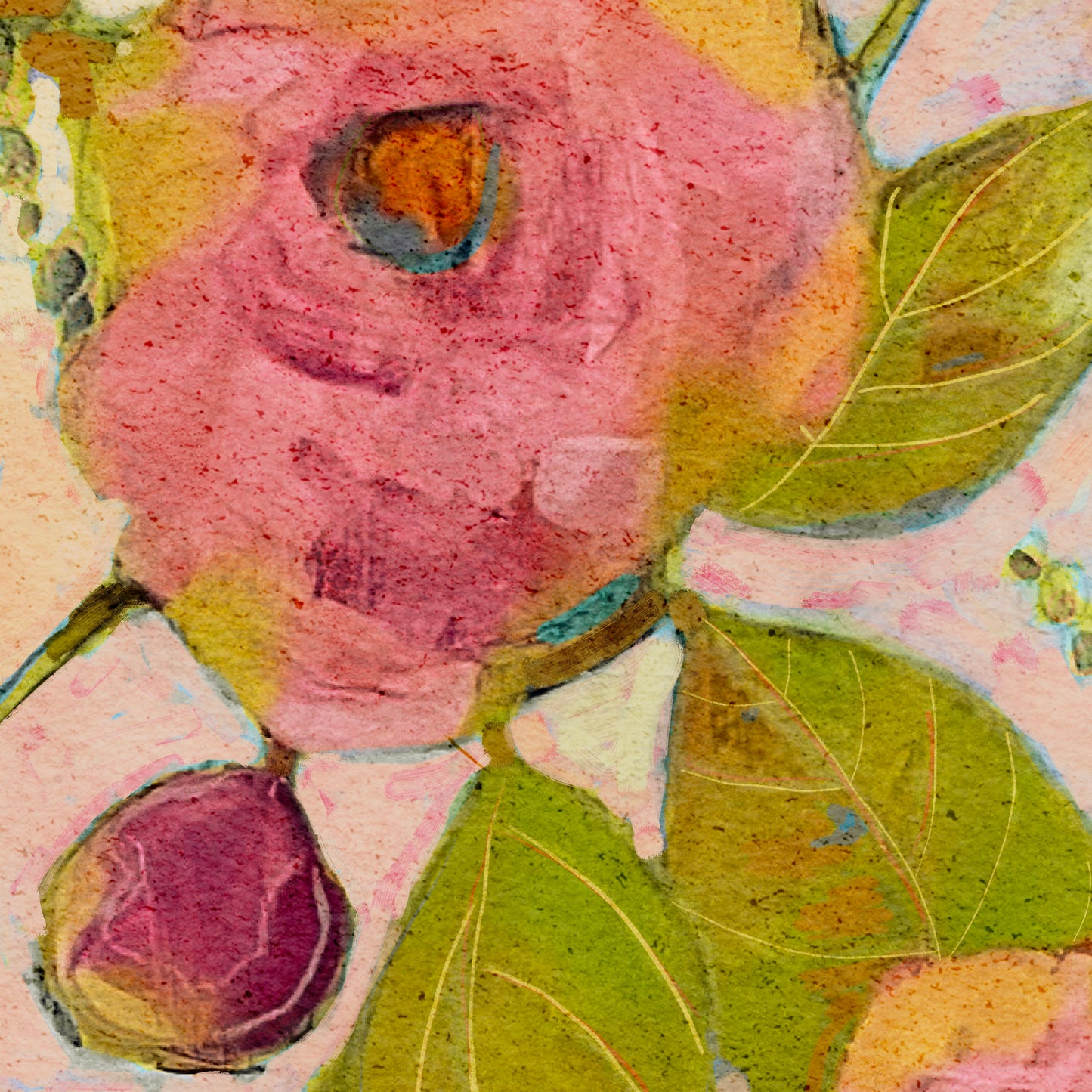 Camelia Fun - Botanical Fine Art Print