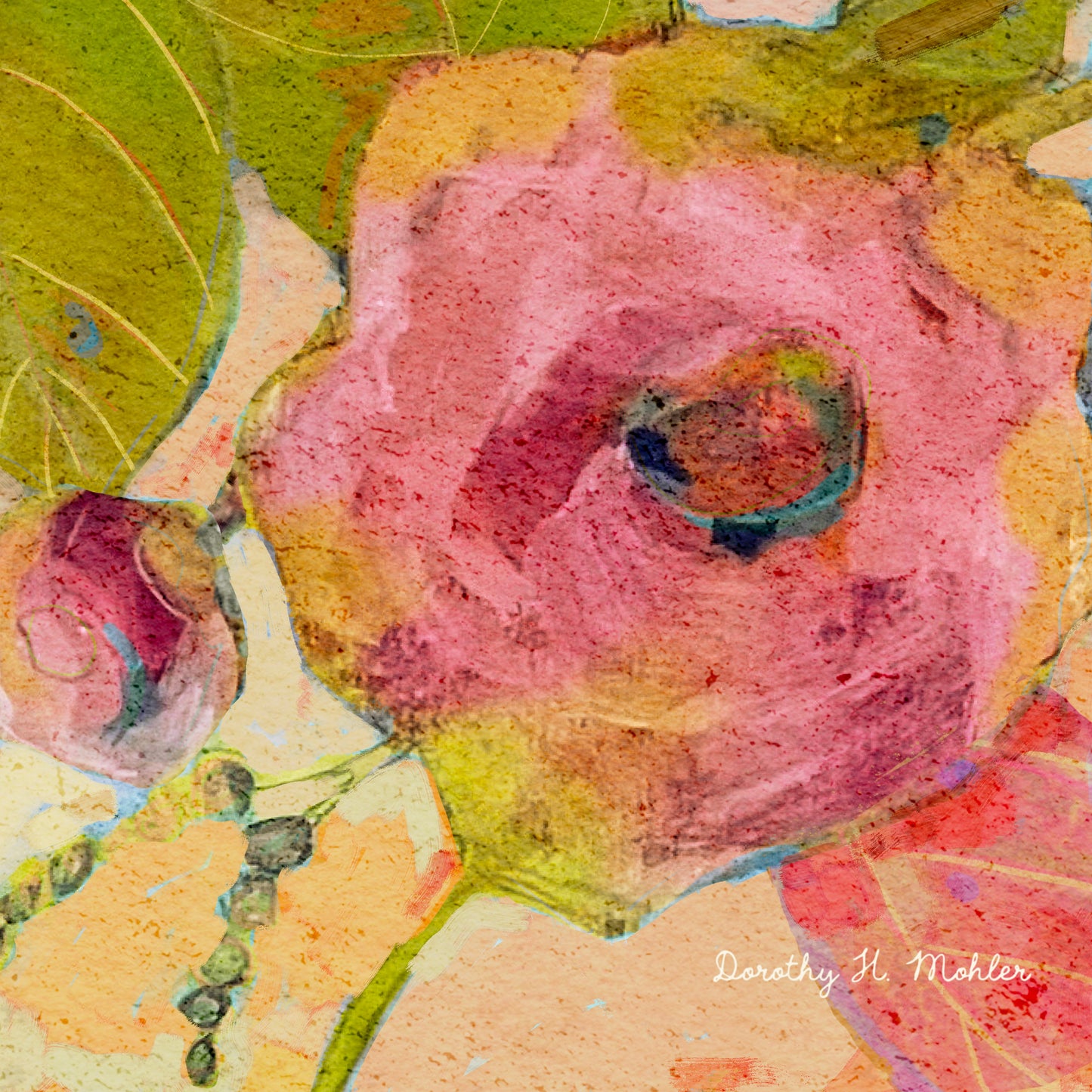 Camelia Fun - Botanical Fine Art Print