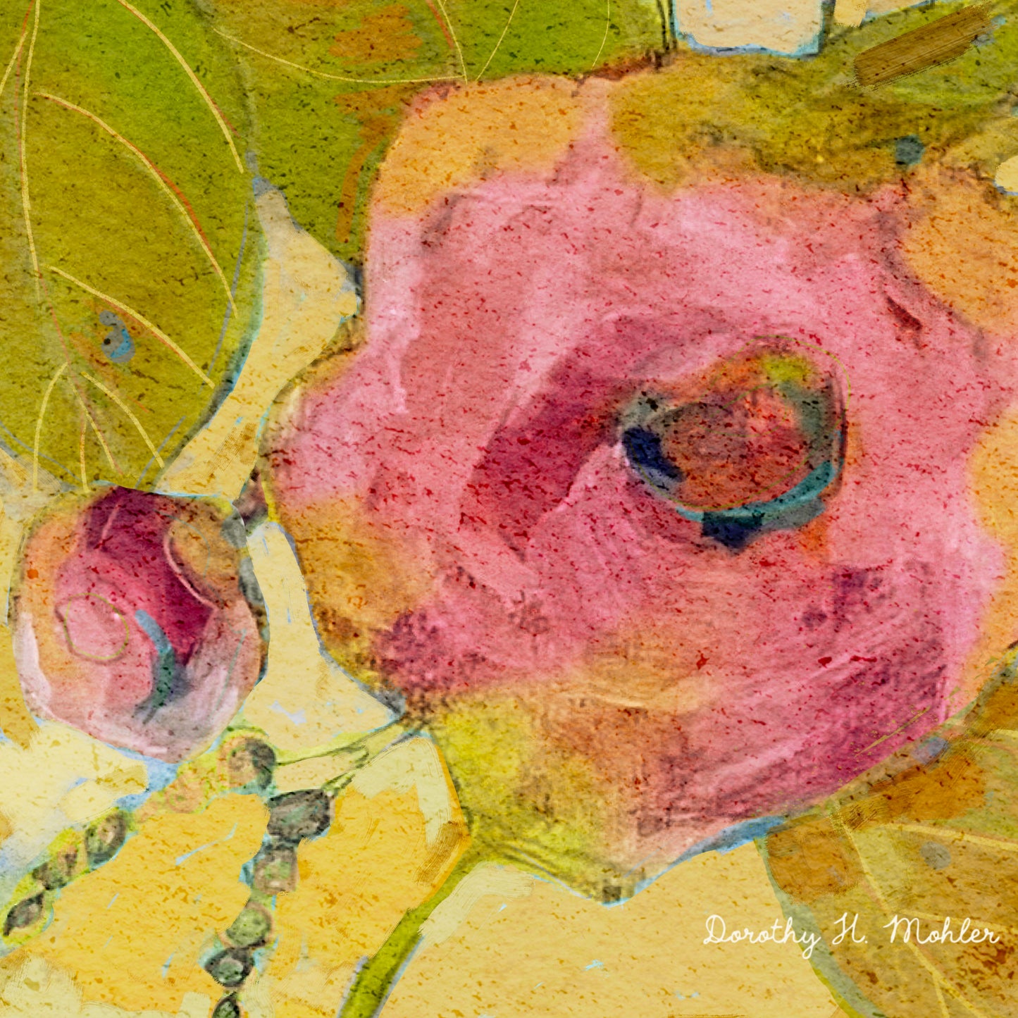 Camelia Fun - Botanical Fine Art Print