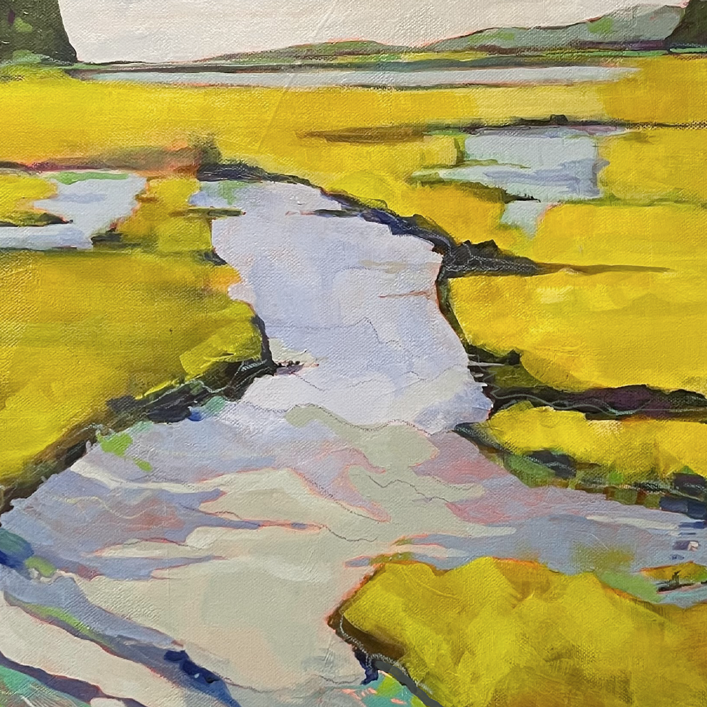 Coastal Inlet – Tidal Marsh Landscape