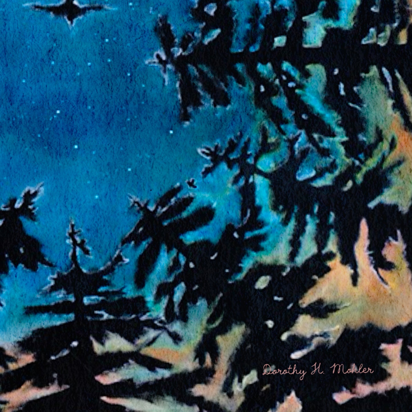 Looking Up to the Heavens — Forest Night Sky Art Print