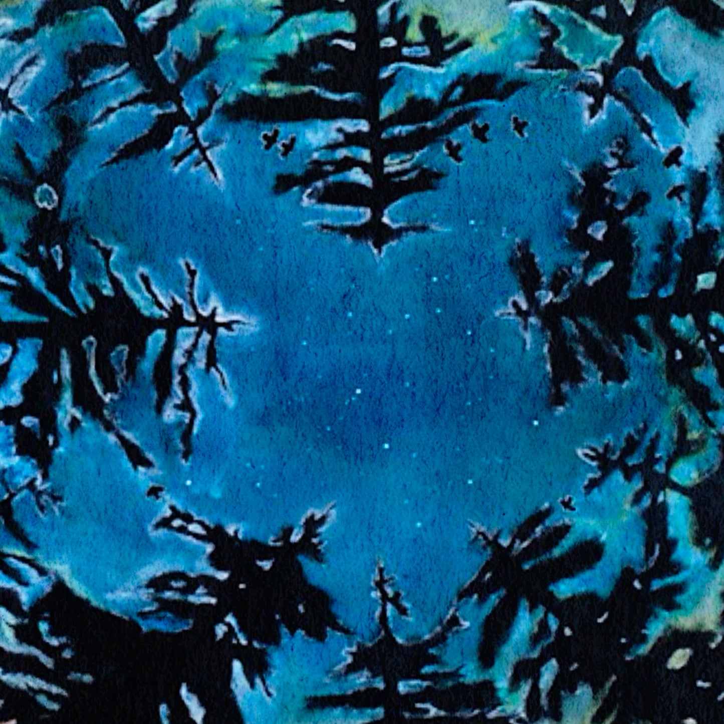 Looking Up to the Heavens — Forest Night Sky Art Print