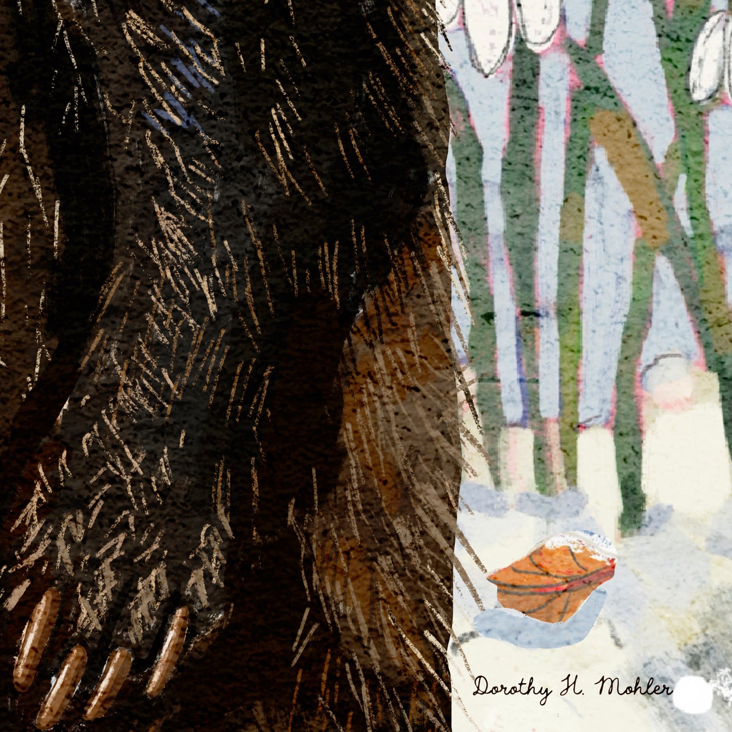 Mr. Badger - Nature Wall Art - Wildlife and Landscape print