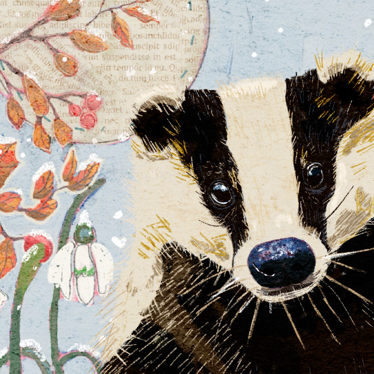 Mr. Badger - Nature Wall Art - Wildlife and Landscape print