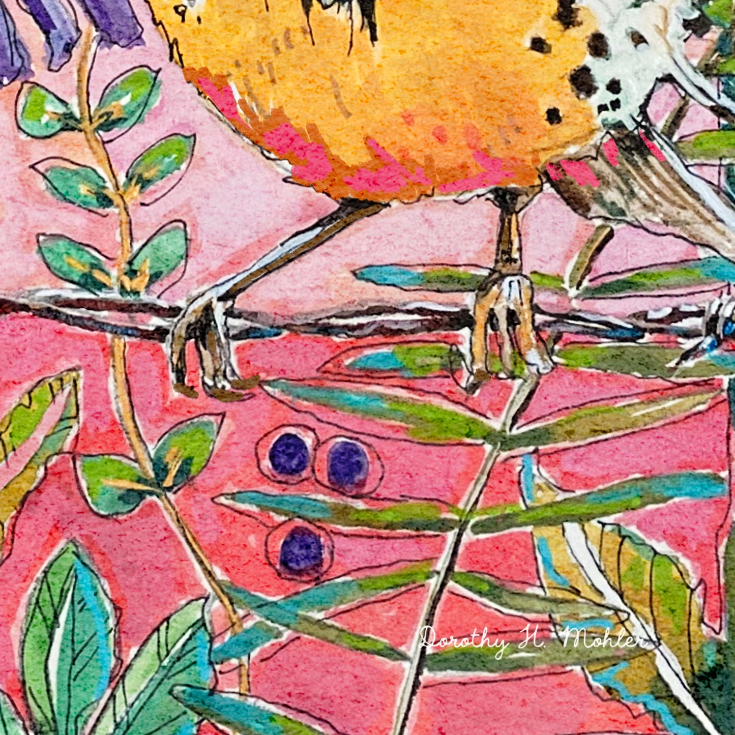 Western Meadowlark with Coneflowers - Nature Print - Bird Art - Pink, Yellow, Purple and Green