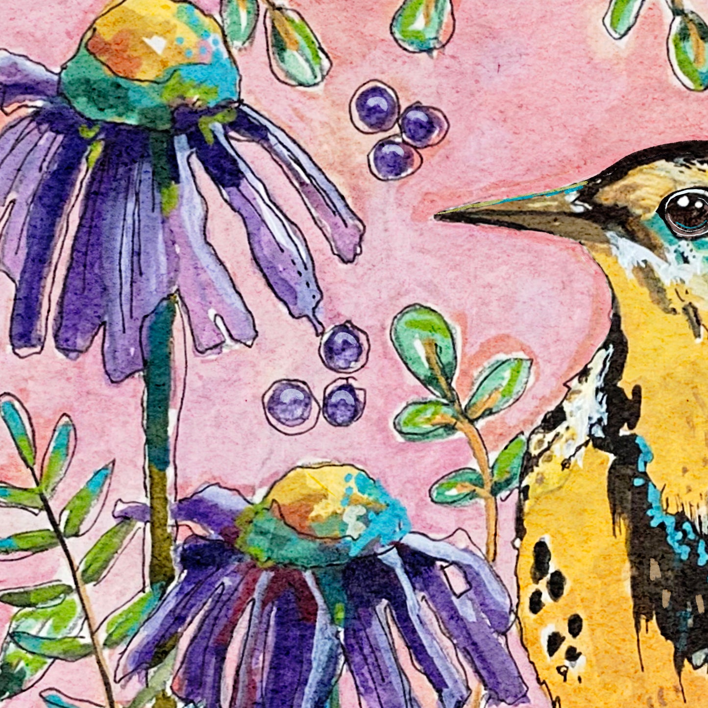 Western Meadowlark with Coneflowers - Nature Print - Bird Art - Pink, Yellow, Purple and Green