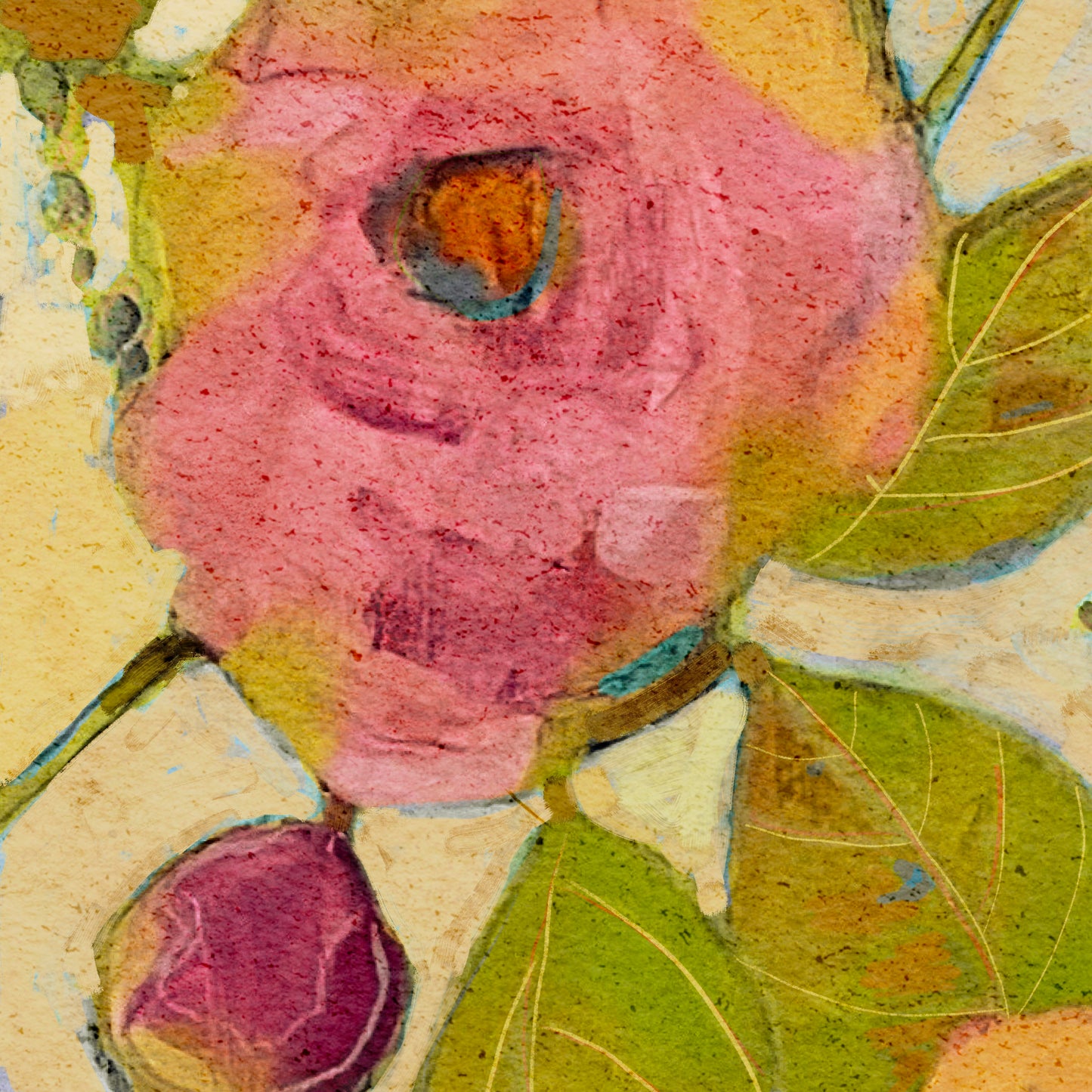 Camelia Fun - Botanical Fine Art Print